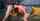 bigtits bigcock blowjob