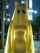 ghost cat yellow