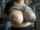 busty big boobs curvy