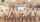 jav japanese stewardess