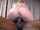 brothalovers bbc interracial