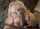 katrina thicc blonde bbc