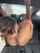 lesbian ebony black