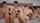 orgy gangbang double penetration
