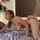 amateur straight doggy