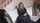 lily larimar nextdoorsins cute