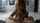 pov latina red head