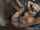 blonde bbc interracial