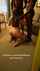 cuckold bbc double