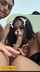 brazil blowjob vazados