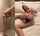 bbc interracial blowjob