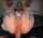 pov thick thick cock