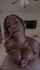 ebony teen dreads