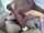 interracial doublepenetration bbc