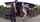 asian jav japanase