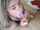 amateur blowjob cam