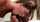 blowjob brunette blonde
