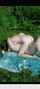 teen old public