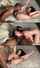 amateur interracial hairy