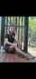 camgirl amateur brunette