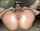 spread pussy hot slut cum dump