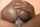 ebony black squirting