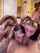 threesome blowjob pigtail