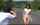 jav japanese uncensored
