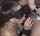 blowjob gangbang wife
