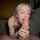 blowjob cock worship handjob