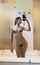 bikini tease indian