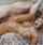 hot slut cum plastered whore