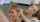 blondes blowjob horny