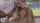 lesbian blondes horny
