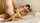 threesome exotic tattoo