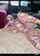 amateur carsex cowgirl