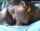 blowjob public sex mypickupgirls