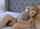 blowjob big dick blonde