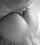 anal butt fuck