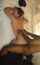 milf cougar interracial