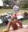 black girl blowjob beauty