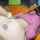 pawg doggystyle pounded