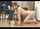 jav japanese adult video