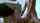 brunette doggystyle amateur