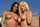 lesbian brunette blonde