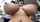 jav japanese asian