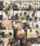 jav lesbian office