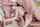 gangbang brunette blowjob