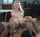 blonde teen orgasm