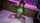 asian jav neon